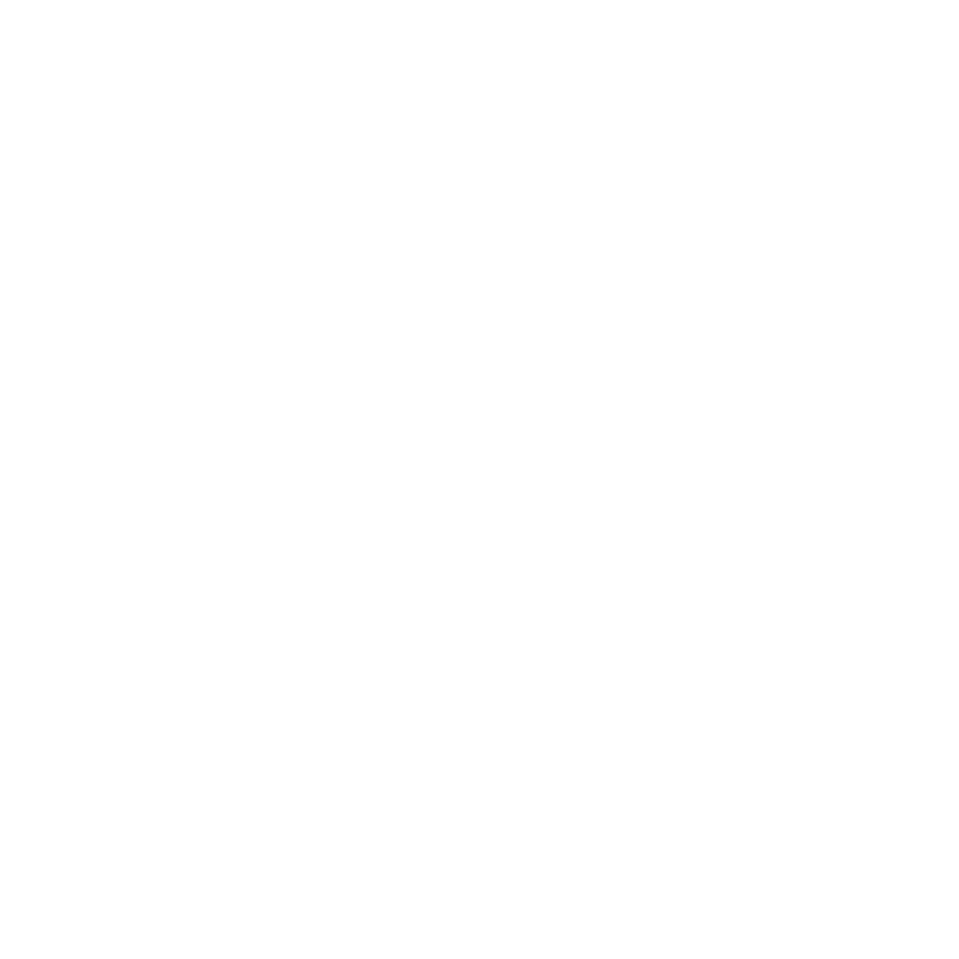 صحيفة البيان الاماراتية